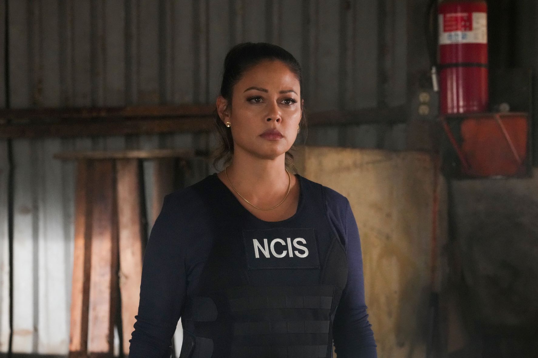 Ncis Hawai I Season Episode Recap Desperate Measures Alexus